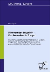 Flimmerndes Labyrinth - Das Fernsehen in Europa