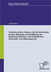 Collective Action Clauses und die Einbindung privater Gläubiger zur Bewältigung der Staatsschuldenkrise in der Europäischen Wirtschafts- und Währungsunion