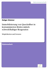 Immobilisierung von Quecksilber in kontaminierten Böden mittels schwefelhaltiger Reagenzien