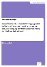 Bestimmung sehr schneller Übergangsraten in Markov-Prozessen durch verbesserte Berücksichtigung der Amplitudenverteilung im direkten Zeitreihenfit