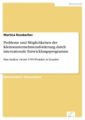 Probleme und Möglichkeiten der Kleinstunternehmensförderung durch internationale Entwicklungsprogramme