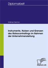 Instrumente, Nutzen und Grenzen des Risikocontrollings im Rahmen der Unternehmensleitung