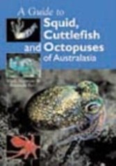 Guide to Squid, Cuttlefish and Octopuses of Australasia