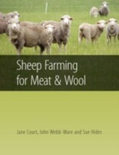 Sheep Farming for Meat and Wool