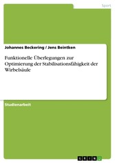 Funktionelle Überlegungen zur Optimierung der Stabilisationsfähigkeit der Wirbelsäule