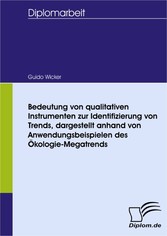 Bedeutung von qualitativen Instrumenten zur Identifizierung von Trends, dargestellt anhand von Anwendungsbeispielen des Ökologie-Megatrends