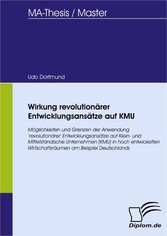 Wirkung revolutionärer Entwicklungsansätze auf KMU