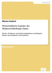 Wirtschaftliche Aspekte der Markterschließung Chinas