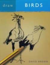 Draw Birds