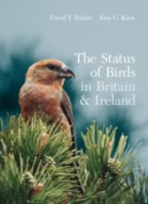 Status of Birds in Britain and Ireland