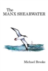 Manx Shearwater