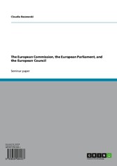 The European Commission, the European Parliament, and the European Council