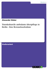 Transkulturelle ambulante Altenpflege in Berlin - Eine Bestandsaufnahme