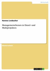 Managementebenen in Einzel- und Multiprojekten