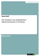 Zur Situation von ausländischen Alleinerziehenden in Freiburg