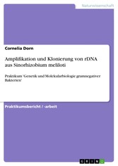 Amplifikation und Klonierung von rDNA aus Sinorhizobium meliloti