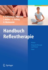 Handbuch Reflextherapie