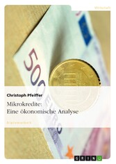 Mikrokredite: Eine ökonomische Analyse