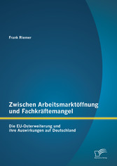 Zwischen Arbeitsmarktöffnung und Fachkräftemangel: Die EU-Osterweiterung und ihre Auswirkungen auf Deutschland