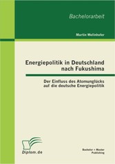 Energiepolitik in Deutschland nach Fukushima: Der Einfluss des Atomunglücks auf die deutsche Energiepolitik