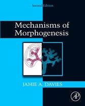 Mechanisms of Morphogenesis