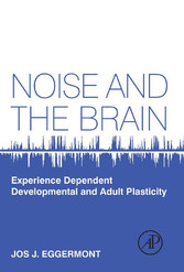 Noise and the Brain