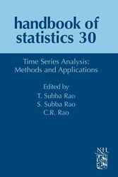 Time Series Analysis: Methods and Applications