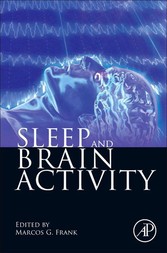 Sleep and Brain Activity