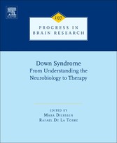 Down Syndrome: From Understanding the Neurobiology to Therapy