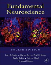 Fundamental Neuroscience