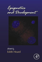 Epigenetics and Development