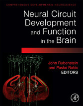 Neural Circuit Development and Function in the Healthy and Diseased Brain