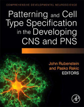 Patterning and Cell Type Specification in the Developing CNS and PNS