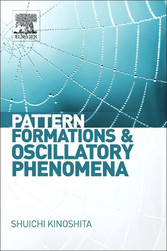 Pattern Formations and Oscillatory Phenomena