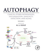 Autophagy: Cancer, Other Pathologies, Inflammation, Immunity, Infection, and Aging