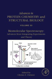 Biomolecular Spectroscopy: Advances from Integrating Experiments and Theory