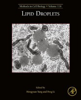 Lipid Droplets