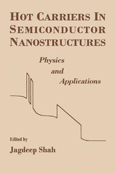 Hot Carriers in Semiconductor Nanostructures