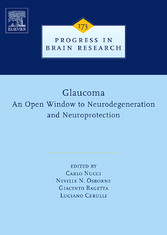 Glaucoma: An Open-Window to Neurodegeneration and Neuroprotection