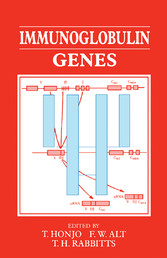 Immunoglobulin Genes