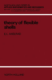 Theory of Flexible Shells