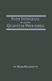 Path Integrals and Quantum Processes