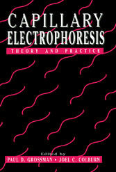 Capillary Electrophoresis