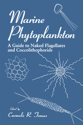 Marine Phytoplankton