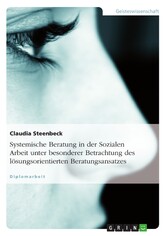 Systemische Beratung in der Sozialen Arbeit unter besonderer Betrachtung des lösungsorientierten Beratungsansatzes