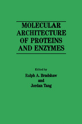 Molecular Architecture of Proteins and Enzymes