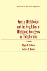 Energy Metabolism and the Regulation of Metabolic Processes in Mitochondria