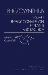 Photosynthesis V1