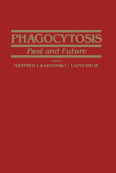 Phagocytosis-past and future