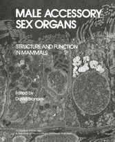 Male Accessory Sex Organs